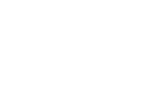 FAN Courier FAN Courier